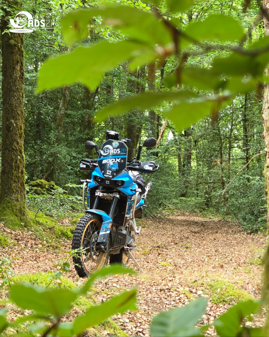 Rando off-road 7.png